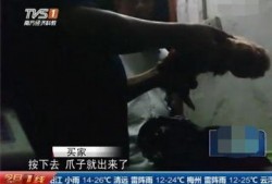 屠宰最新爆料视频播放,屠宰场内幕视频曝光，震撼揭示行业黑幕